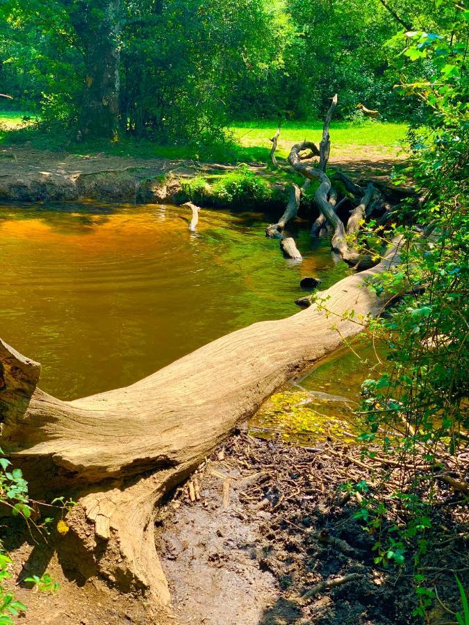 Forest Haven Суэй Экстерьер фото