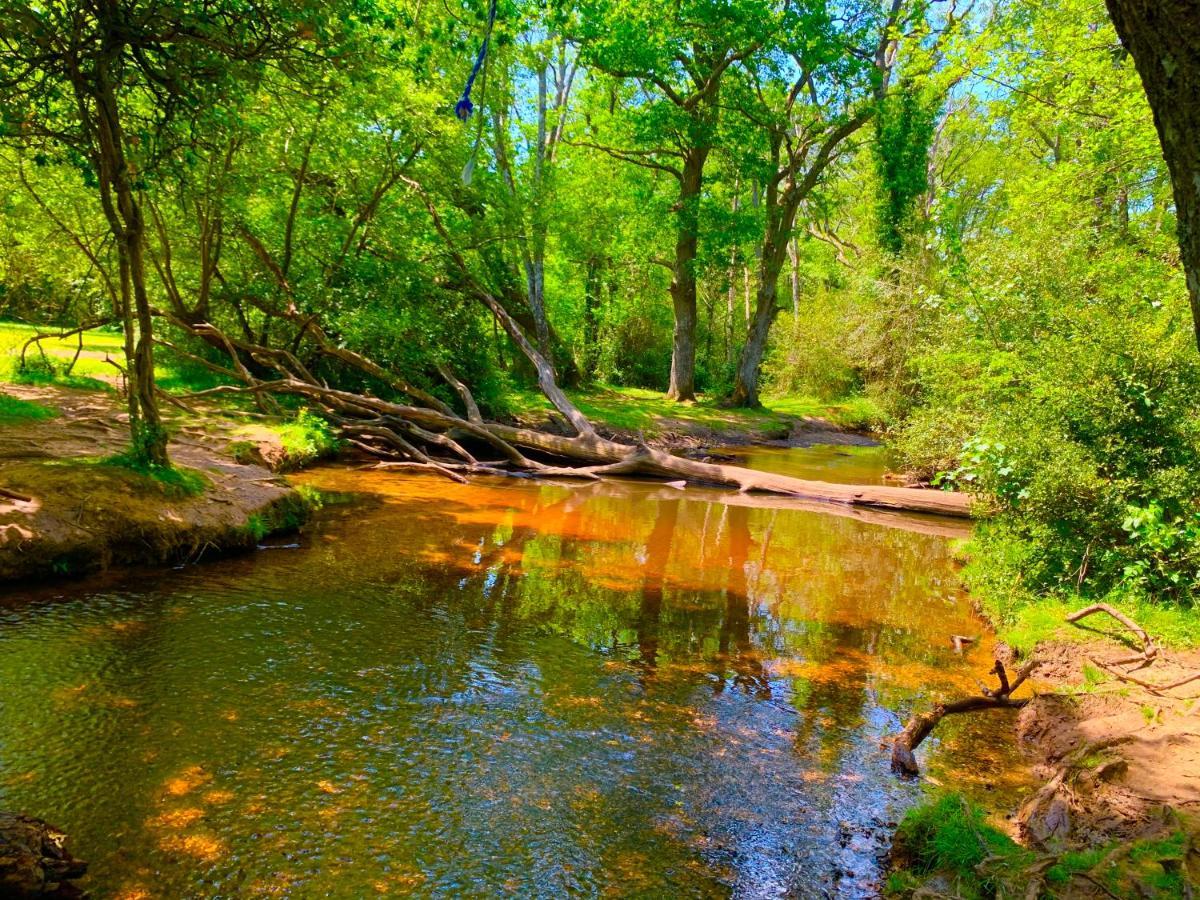 Forest Haven Суэй Экстерьер фото