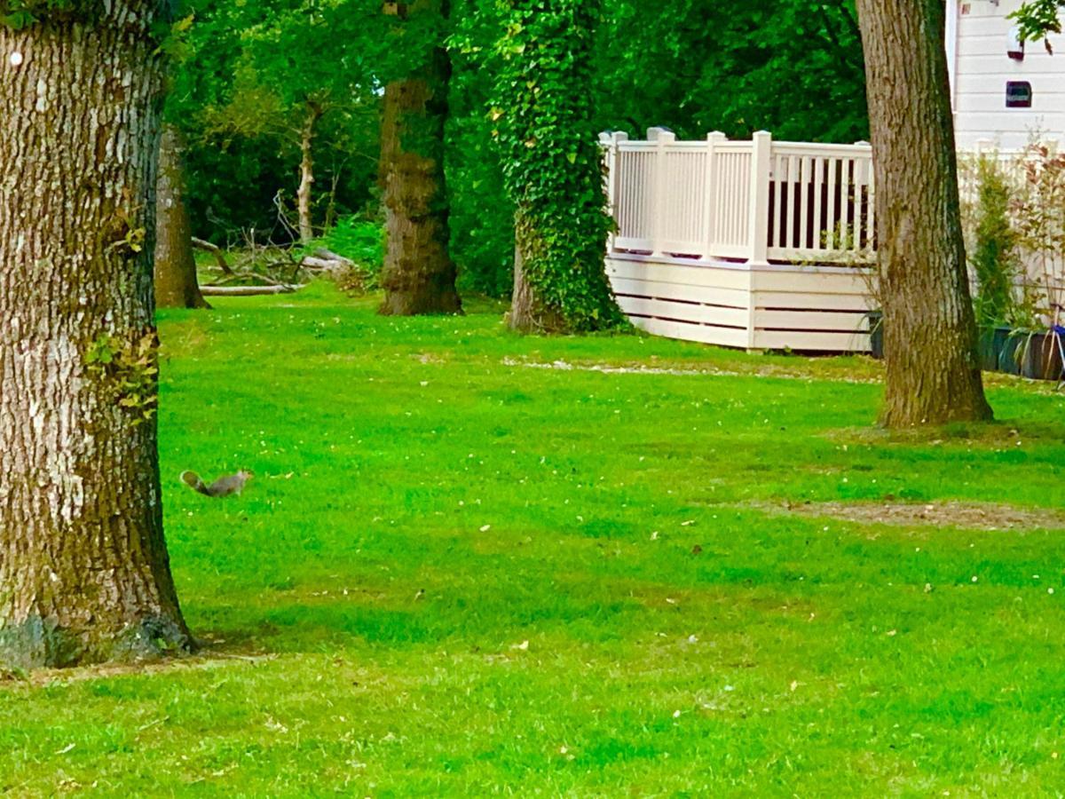 Forest Haven Суэй Экстерьер фото
