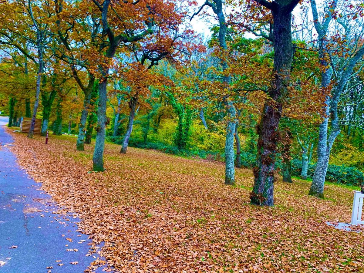 Forest Haven Суэй Экстерьер фото