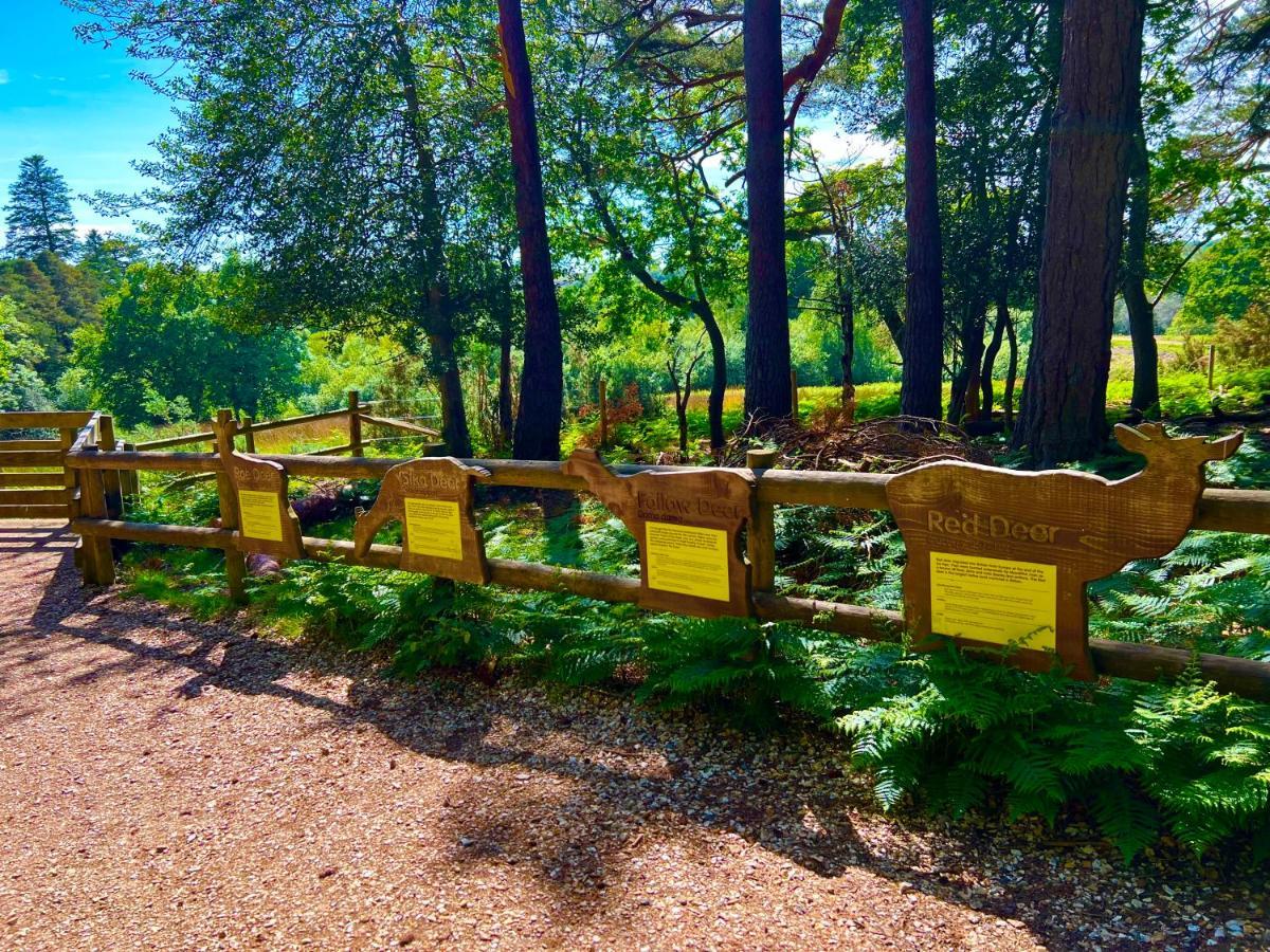 Forest Haven Суэй Экстерьер фото